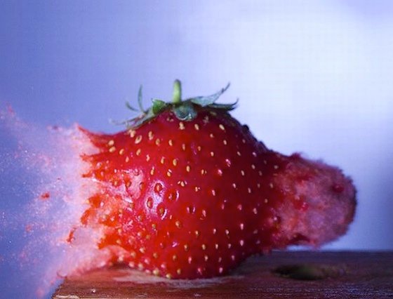 Strawberry-Getting-Shot-by-Alan-Sailer