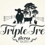 triple tree logo design
