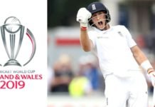 Cricket World Cup Logo