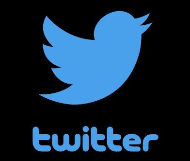 official twitter logo