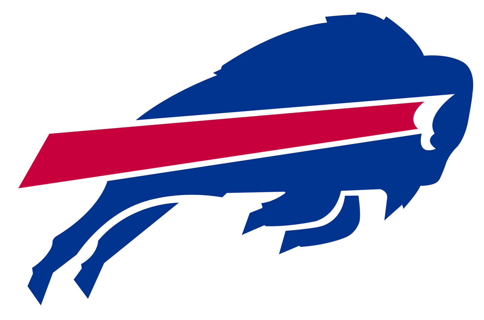 vride Forvirre fælde Buffalo Bills logo and the history behind the team | LogoMyWay