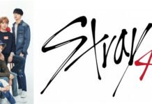 Stray Kids logo and some history behind the band