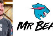 MrBeast logo and his history